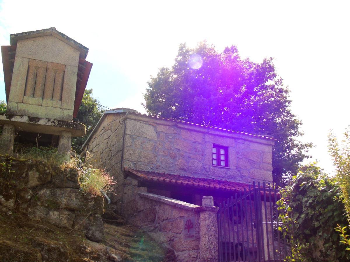 Parada  Casa Da Carvalheira 빌라 외부 사진